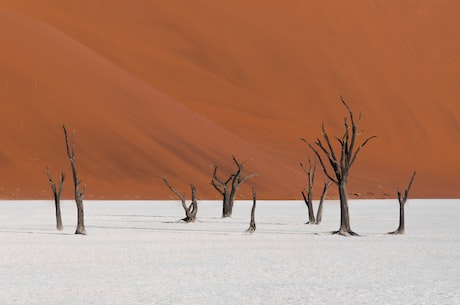 腾格里沙漠：神秘的大漠奇观