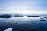 北冰洋：了解最北边的海洋世界